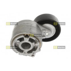 Tendicinghia servizi