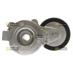 Tendicinghia servizi