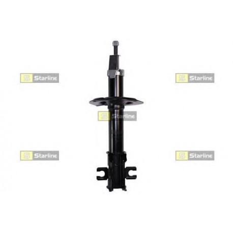 Coppia ammortizzatori anteriori