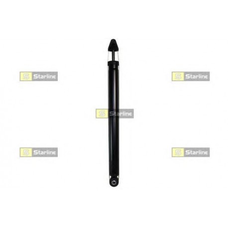 Coppia ammortizzatori posteriori