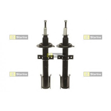 Coppia ammortizzatori posteriori