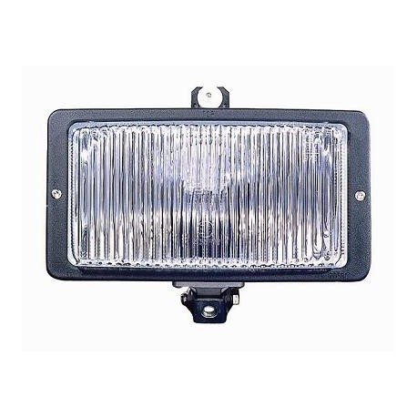 Fendinebbia bilaterale