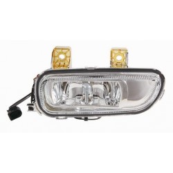 Fendinebbia passeggero - dx