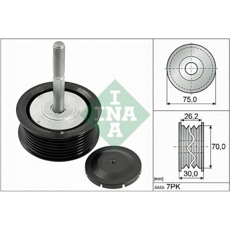 Tendicinghia servizi