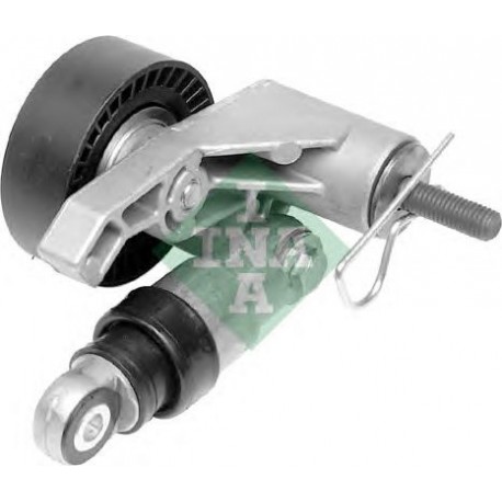 Tendicinghia cinghia Poly-V