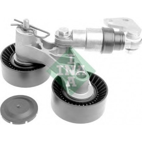 Tendicinghia cinghia Poly-V