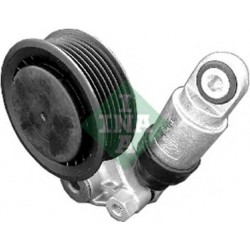 Tendicinghia cinghia Poly-V