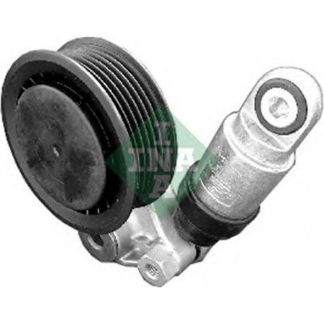 Tendicinghia cinghia Poly-V