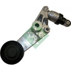 Tendicinghia cinghia Poly-V