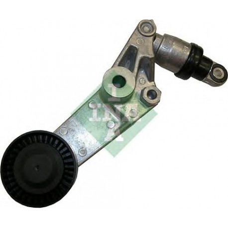 Tendicinghia cinghia Poly-V