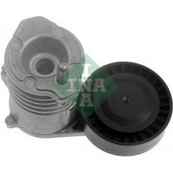 Tendicinghia cinghia Poly-V