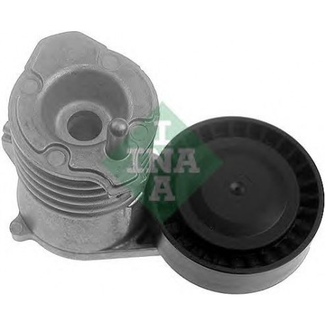 Tendicinghia cinghia Poly-V