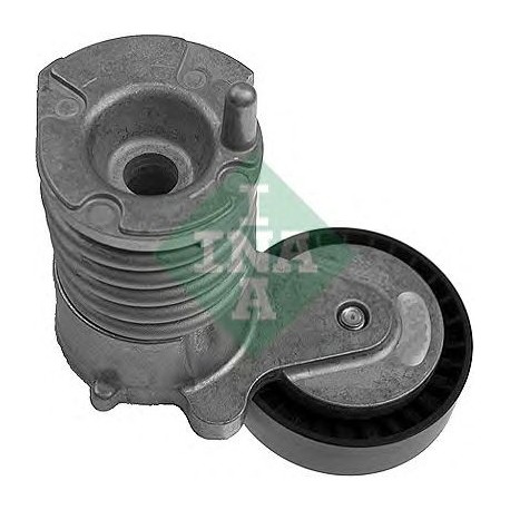 Tendicinghia cinghia Poly-V