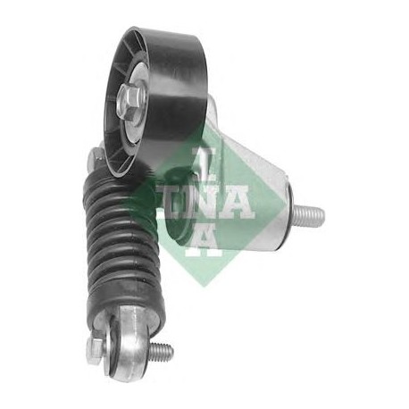 Tendicinghia cinghia Poly-V