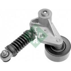 Tendicinghia cinghia Poly-V