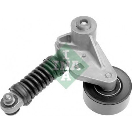 Tendicinghia cinghia Poly-V