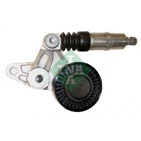 Tendicinghia cinghia Poly-V