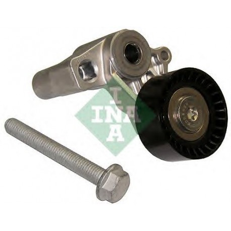 Tendicinghia cinghia Poly-V