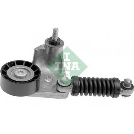 Tendicinghia cinghia Poly-V