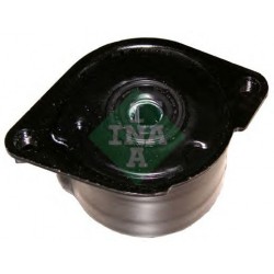 Tendicinghia cinghia Poly-V