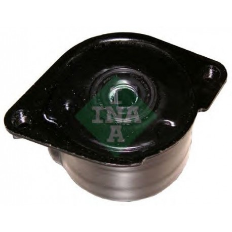 Tendicinghia cinghia Poly-V