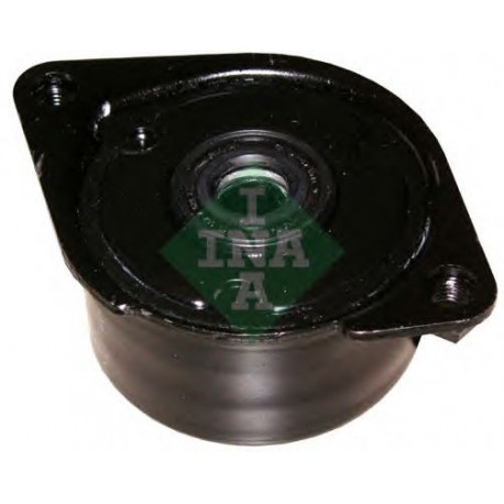 Tendicinghia cinghia Poly-V