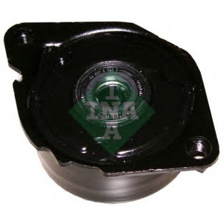 Tendicinghia cinghia Poly-V