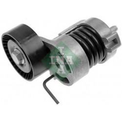 Tendicinghia cinghia Poly-V