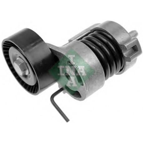 Tendicinghia cinghia Poly-V