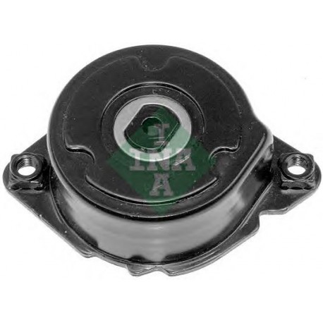 Tendicinghia cinghia Poly-V