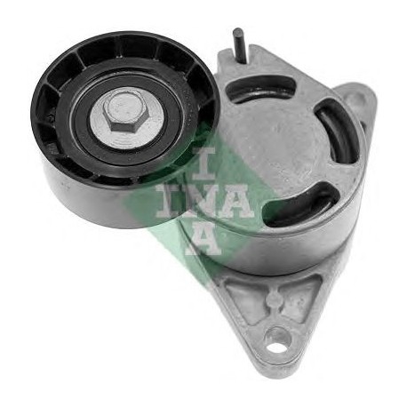 Tendicinghia cinghia Poly-V