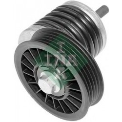 Tendicinghia cinghia Poly-V