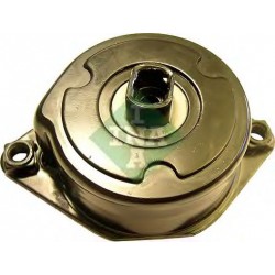 Tendicinghia cinghia Poly-V