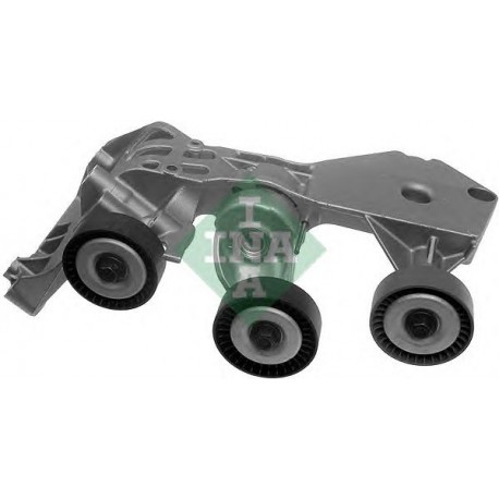 Tendicinghia cinghia Poly-V