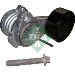 Tendicinghia cinghia Poly-V