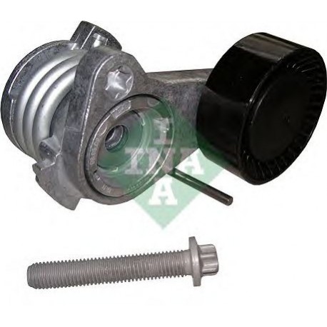 Tendicinghia cinghia Poly-V