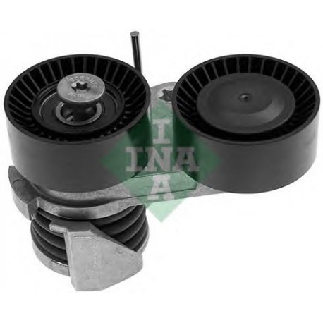 Tendicinghia cinghia Poly-V