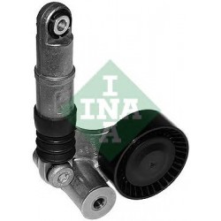 Tendicinghia cinghia Poly-V