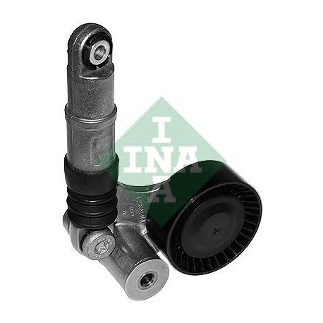 Tendicinghia cinghia Poly-V