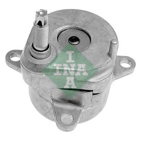 Tendicinghia cinghia Poly-V