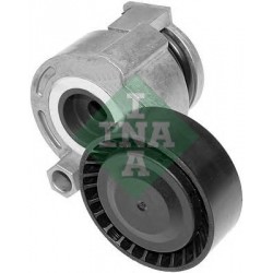 Tendicinghia cinghia Poly-V