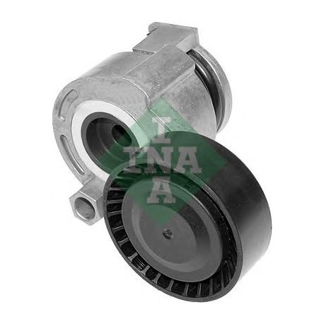 Tendicinghia cinghia Poly-V