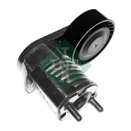 Tendicinghia cinghia Poly-V