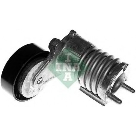 Tendicinghia cinghia Poly-V