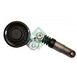 Tendicinghia cinghia Poly-V