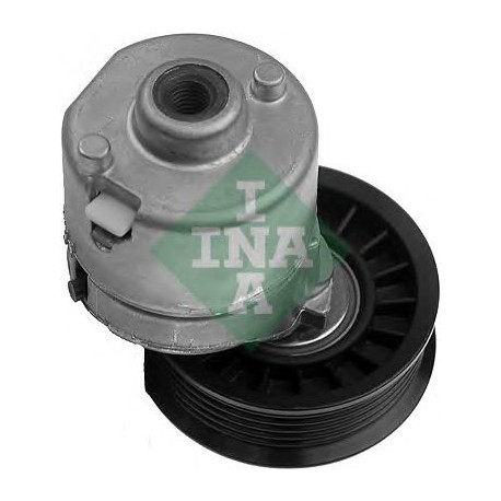 Tendicinghia cinghia Poly-V