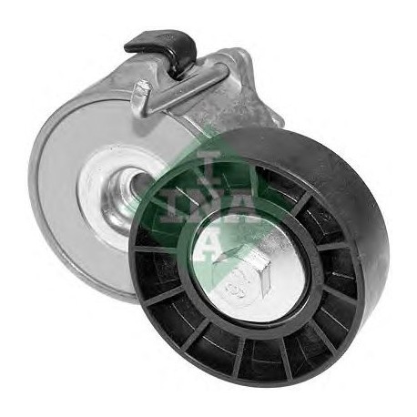 Tendicinghia cinghia Poly-V