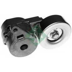 Tendicinghia cinghia Poly-V