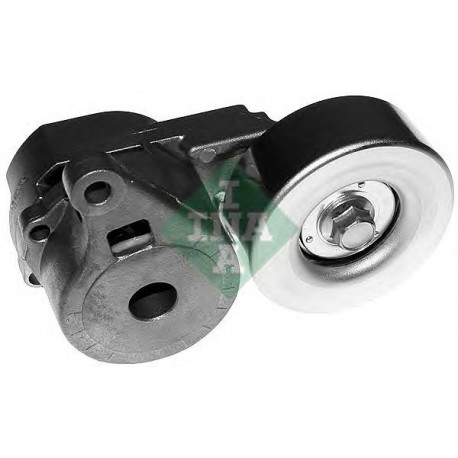 Tendicinghia cinghia Poly-V