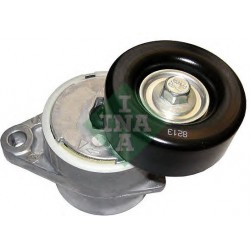 Tendicinghia cinghia Poly-V